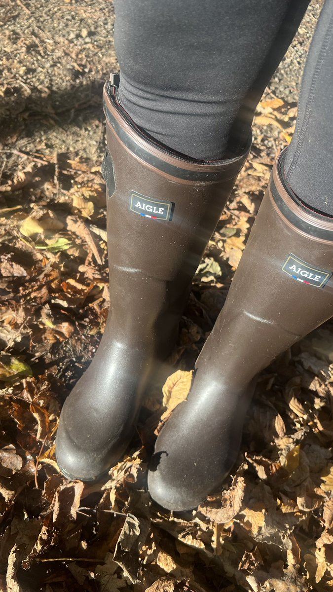 This is a public service announcement- these are the comfiest and warmest wellies I have ever worn!! #earlybirthdaypresent #wellies #aigle #warmfeet