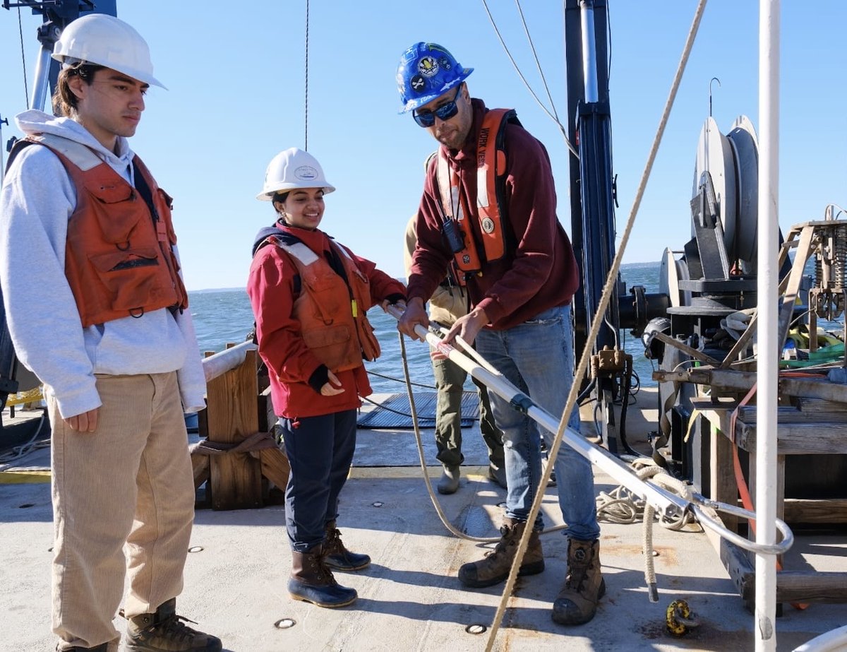 #STEMSEAS tweet media