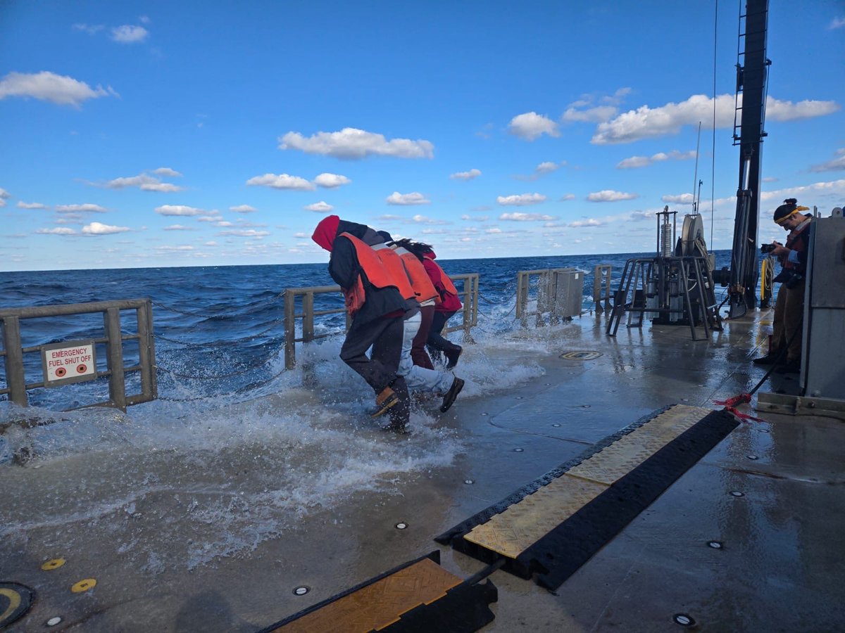 #STEMSEAS tweet media