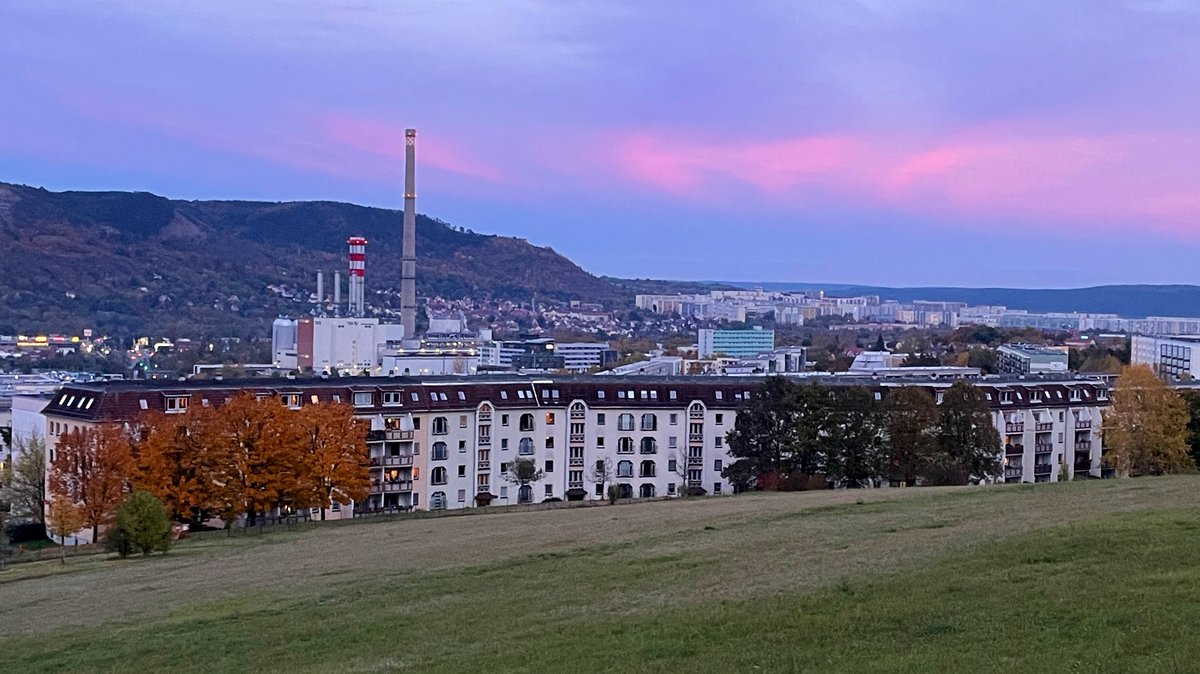 Michael Zieger tweet media