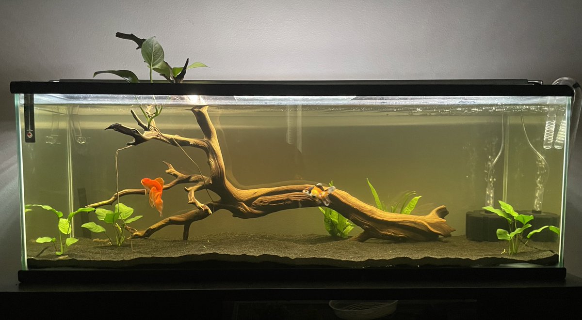 eric pointcrow tweet media