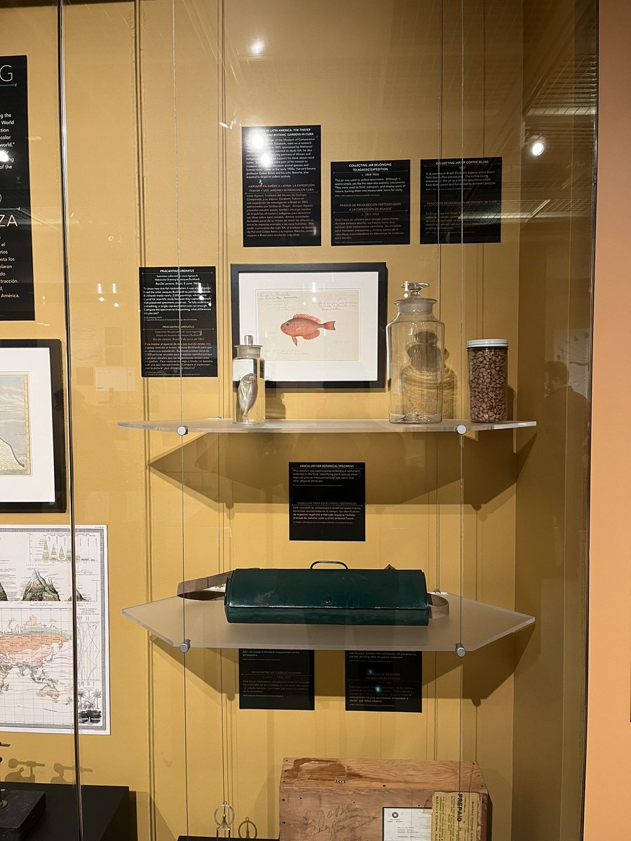 Katherinenright's tweet image. What a joy to be back at Harvard for the opening of Measuring Difference! My hugest thanks to @gabrielasotolav for asking me to be part of the curatorial team with the wonderful Manny Medrano and Francis Newman, and to everyone at @harvardchsi and @HarvardMuseums