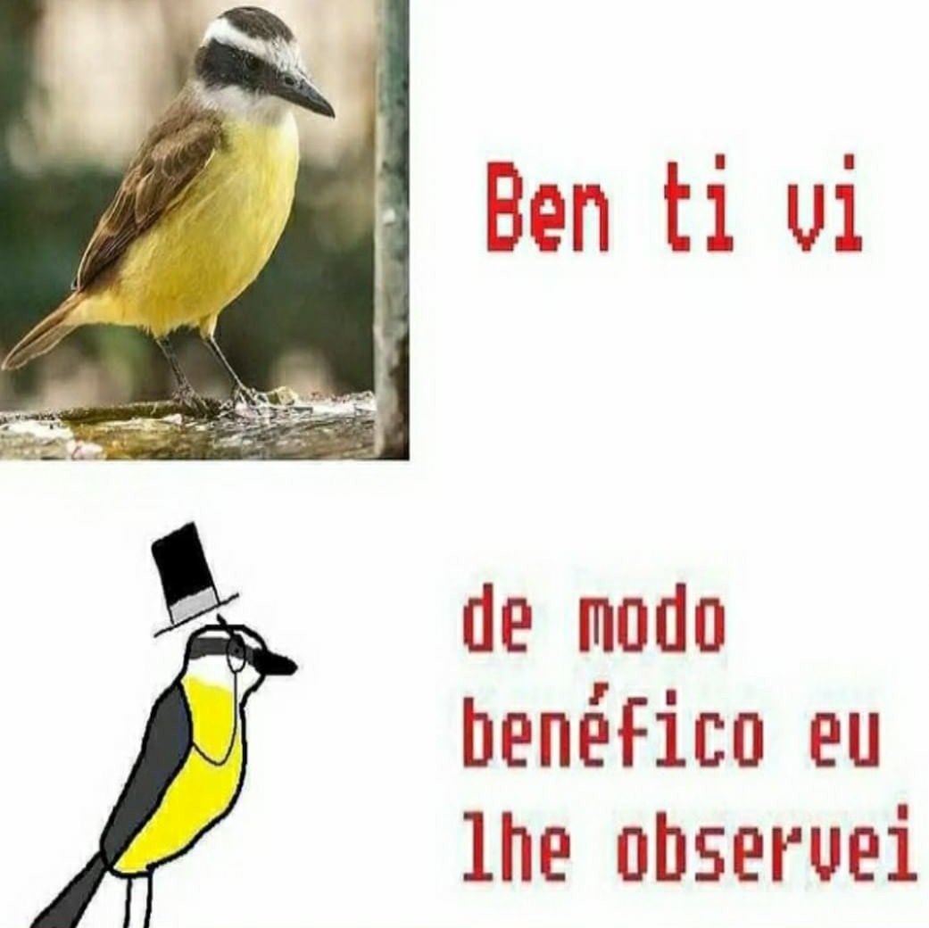 memeinteligente's tweet image. 