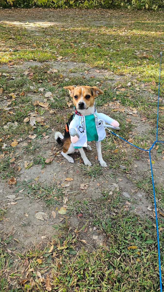 Disabled Trash Witch♿ tweet media