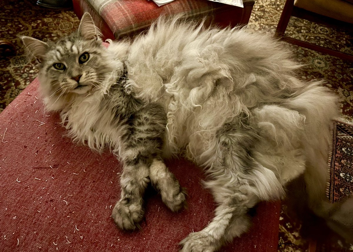 Dr Laura Eastlake tweet media