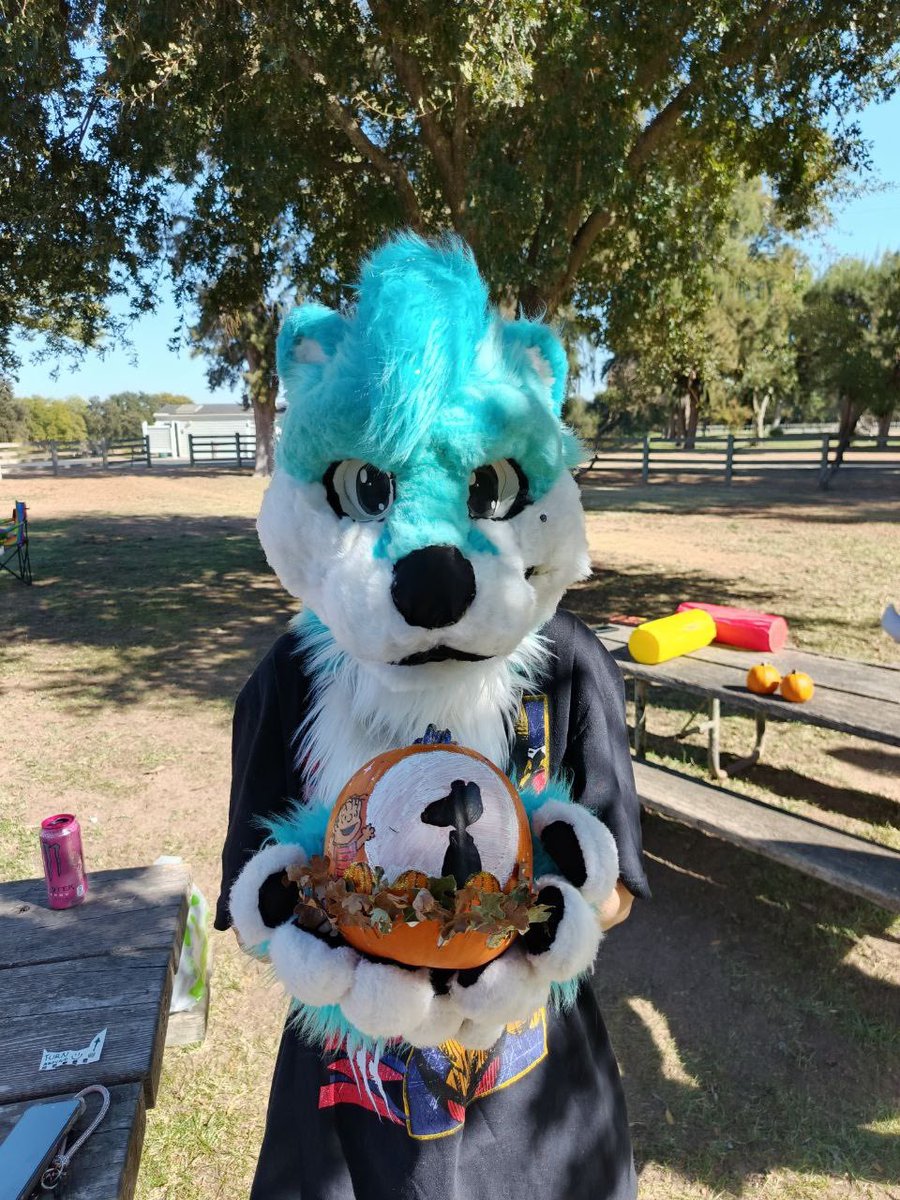 sparklingotter's tweet photo. I painted a double sided pumpkin for the contest at #rivercityfurmeets Halloween picnic and won 1st place! thank you so much #capanthro! 🎃 🍁 https://t.co/ttoZNZvVwB