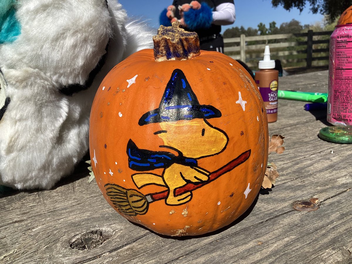sparklingotter's tweet photo. I painted a double sided pumpkin for the contest at #rivercityfurmeets Halloween picnic and won 1st place! thank you so much #capanthro! 🎃 🍁 https://t.co/ttoZNZvVwB