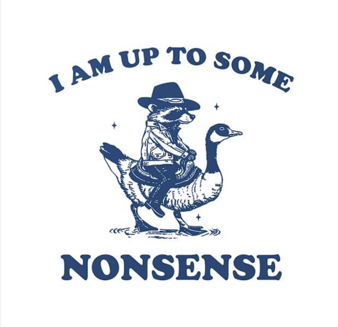 raccoon aesthetic. tweet media