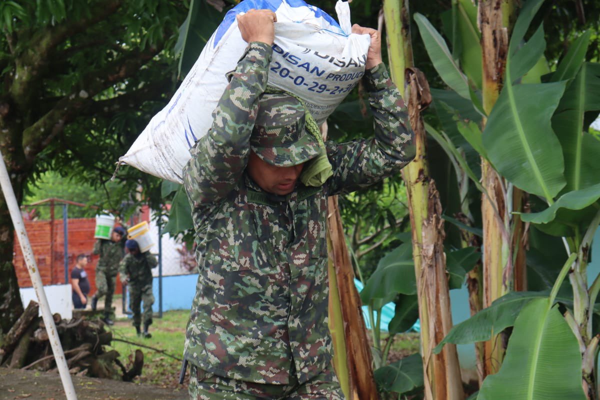Ejercito_Div4's tweet photo. Con el esfuerzo y dedicación de nuestros soldados del @COL_EJERCITO, cultivamos la tierra para fortalecer lazos, cosechar frutos y preservar las costumbres en la comunidad de Guamal, #Meta. 🌱
Nuestra #VeredaModelo sigue creciendo y floreciendo.
#NuestroCompromisoEsColombia https://t.co/KqVbIqoCvn