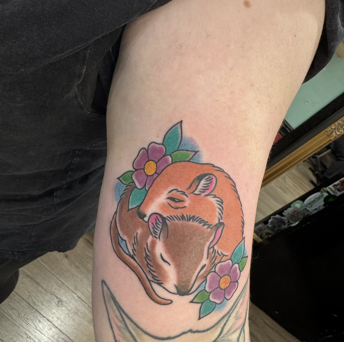 audreygardner98's tweet photo. My baby gerbs will finally be with me forever ❤️ https://t.co/1zluhAlAgS