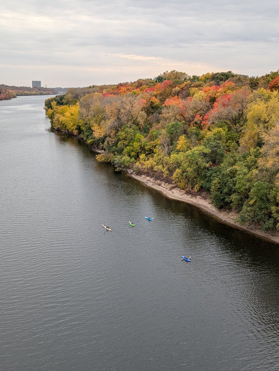 If you know four people who went kayaking on Mississippi just under Lake St this afternoon, pass on these pics.