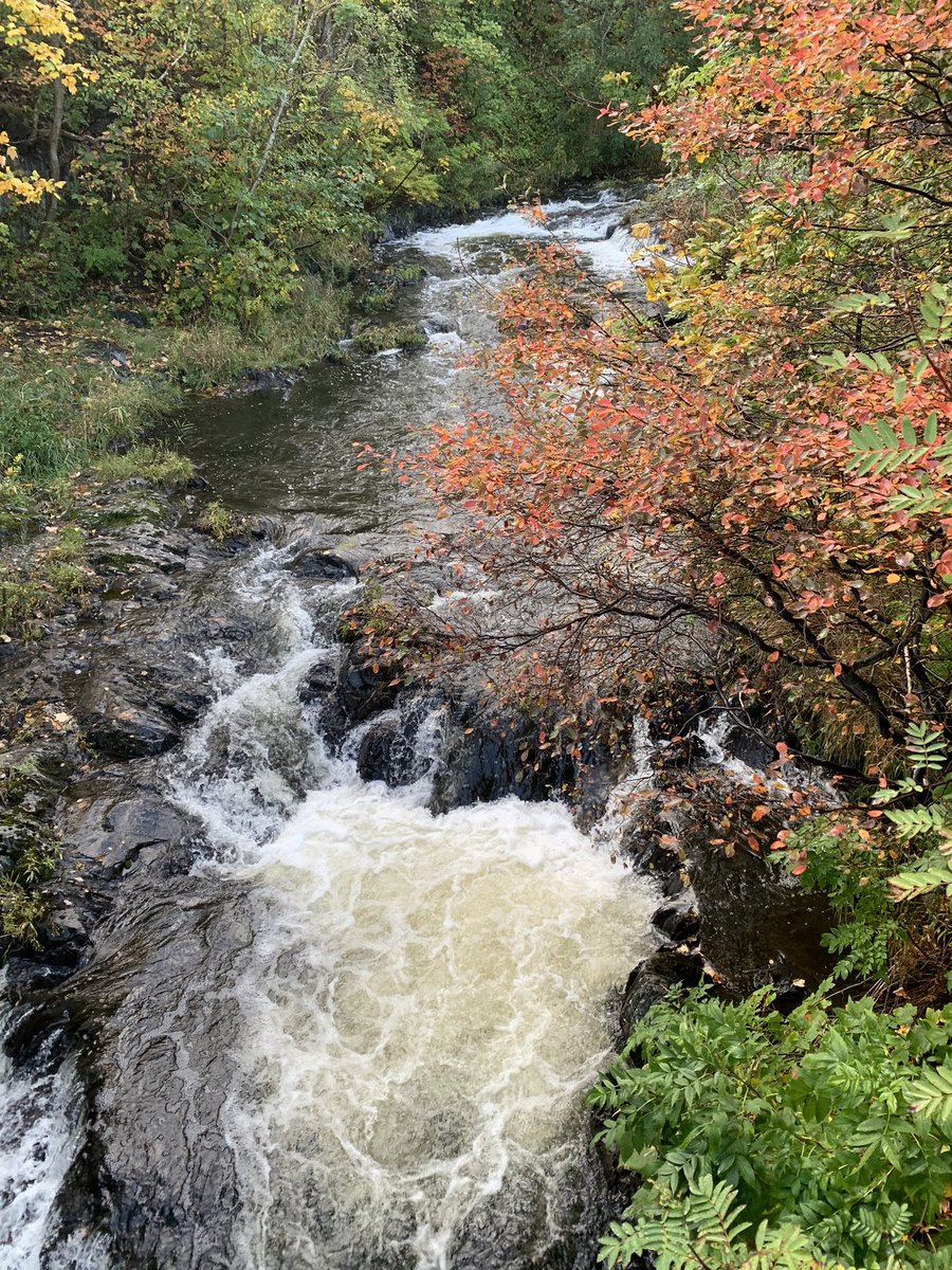 Some more images from my recent trip to Newfoundland, which will serve for inspiration in the days to come. I promise not to stay away so long next time.