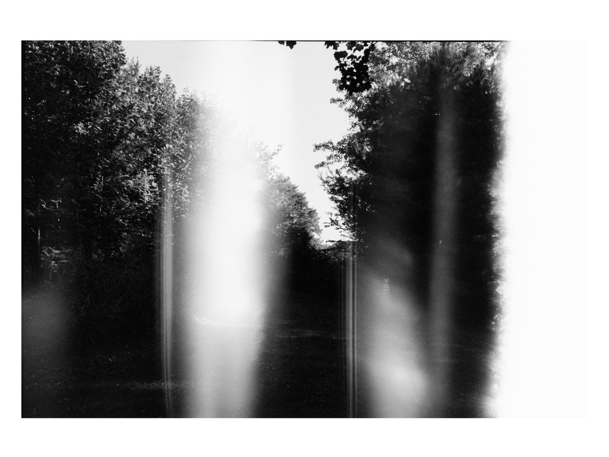 w7_clutch's tweet photo. sonder

// nikon f2 + ilford sfx 200 https://t.co/z8YNzintCc