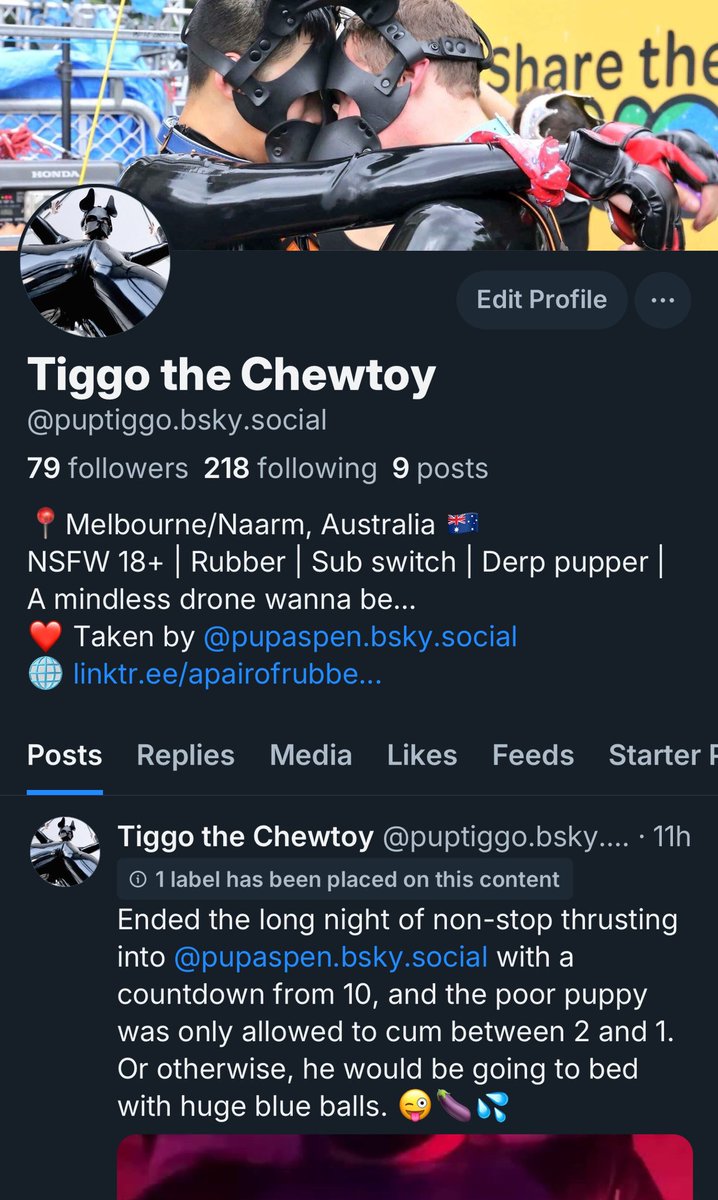 Tiggo the Chewtoy tweet media