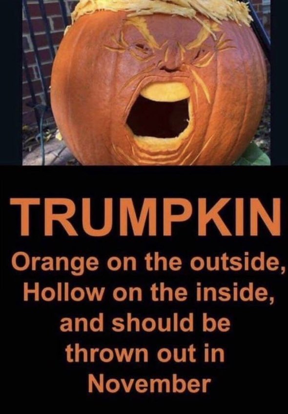 PaxWithTheFacts's tweet photo. @harris_wins https://t.co/qL9Wnon3vo