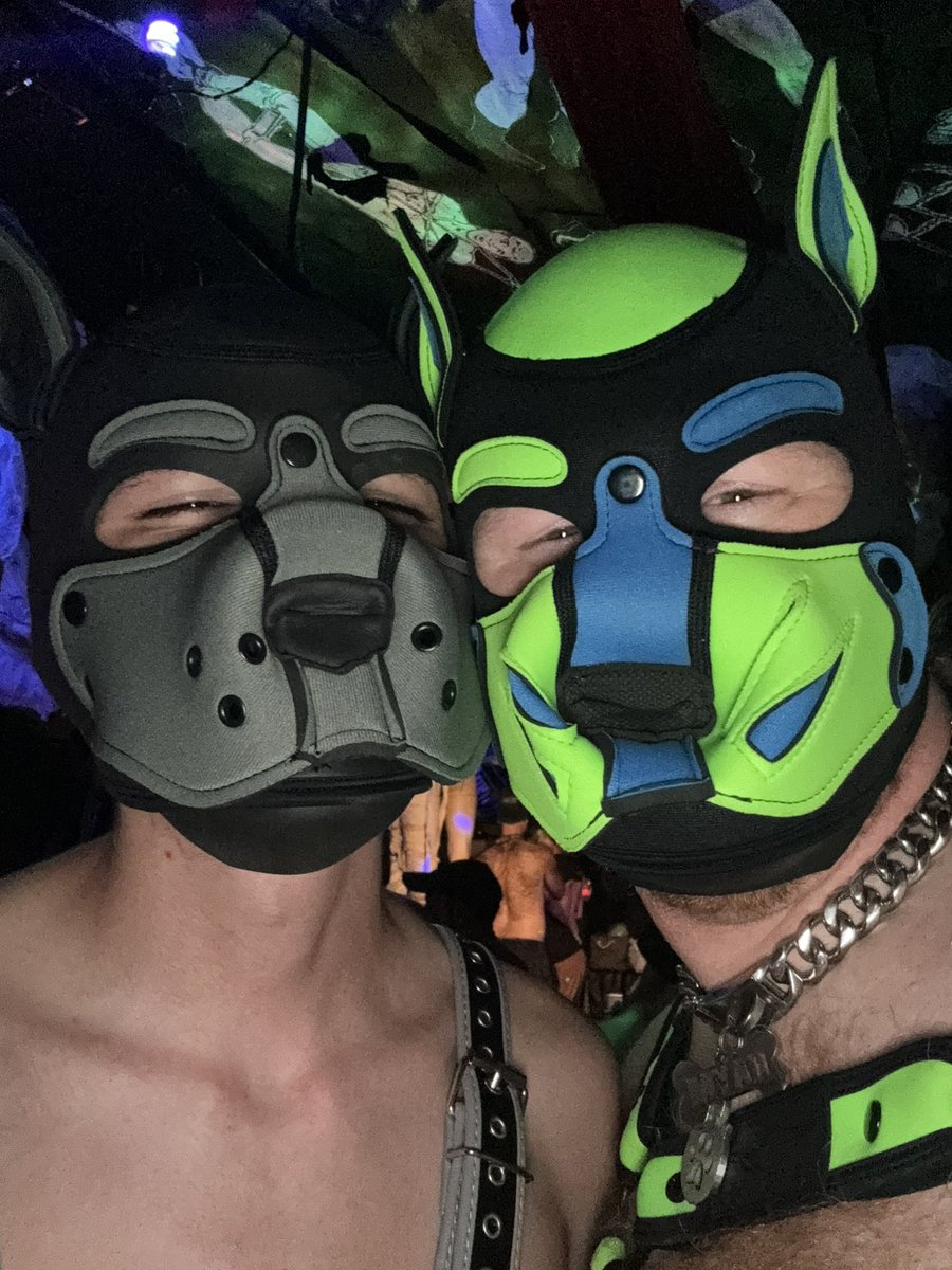 PupCal tweet media