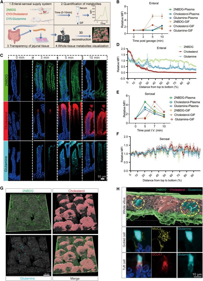 Waggoner Lab tweet media