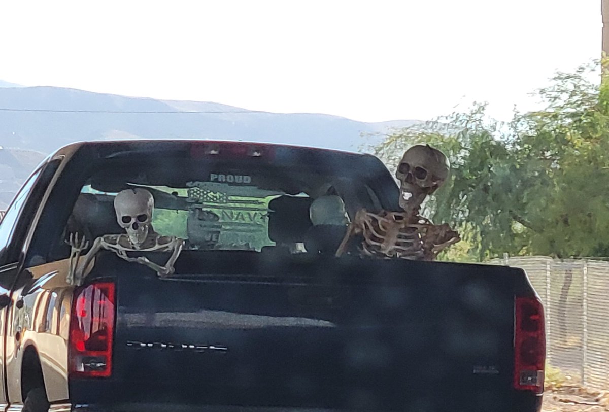 SkeletonPosts's tweet photo. Skeletons in the wild 😃 https://t.co/wbYx0d3aVP