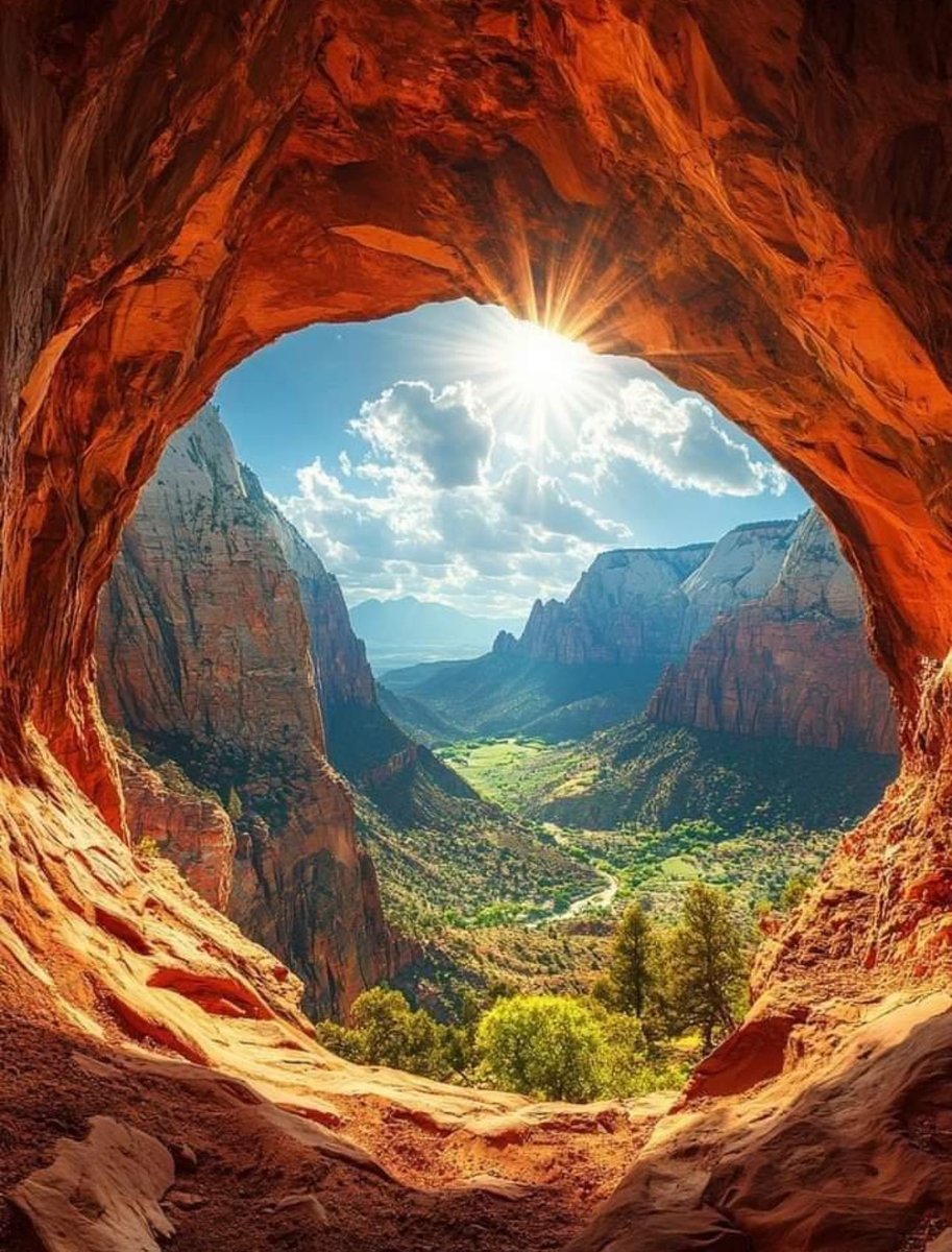 GoingParabolic's tweet image. Tampa Florida is amazing this time of year!