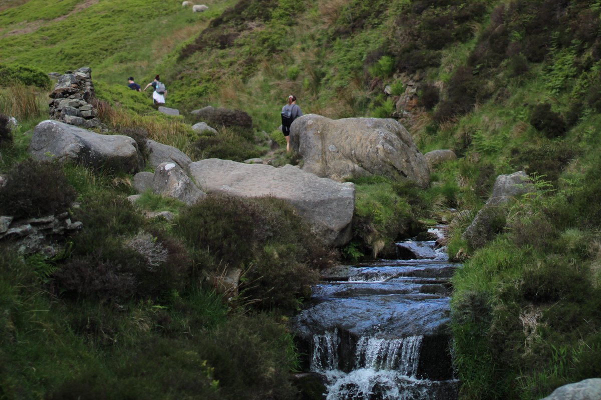 Sean O'Mahoney 🧙‍♂️🍻👨‍💻 tweet media
