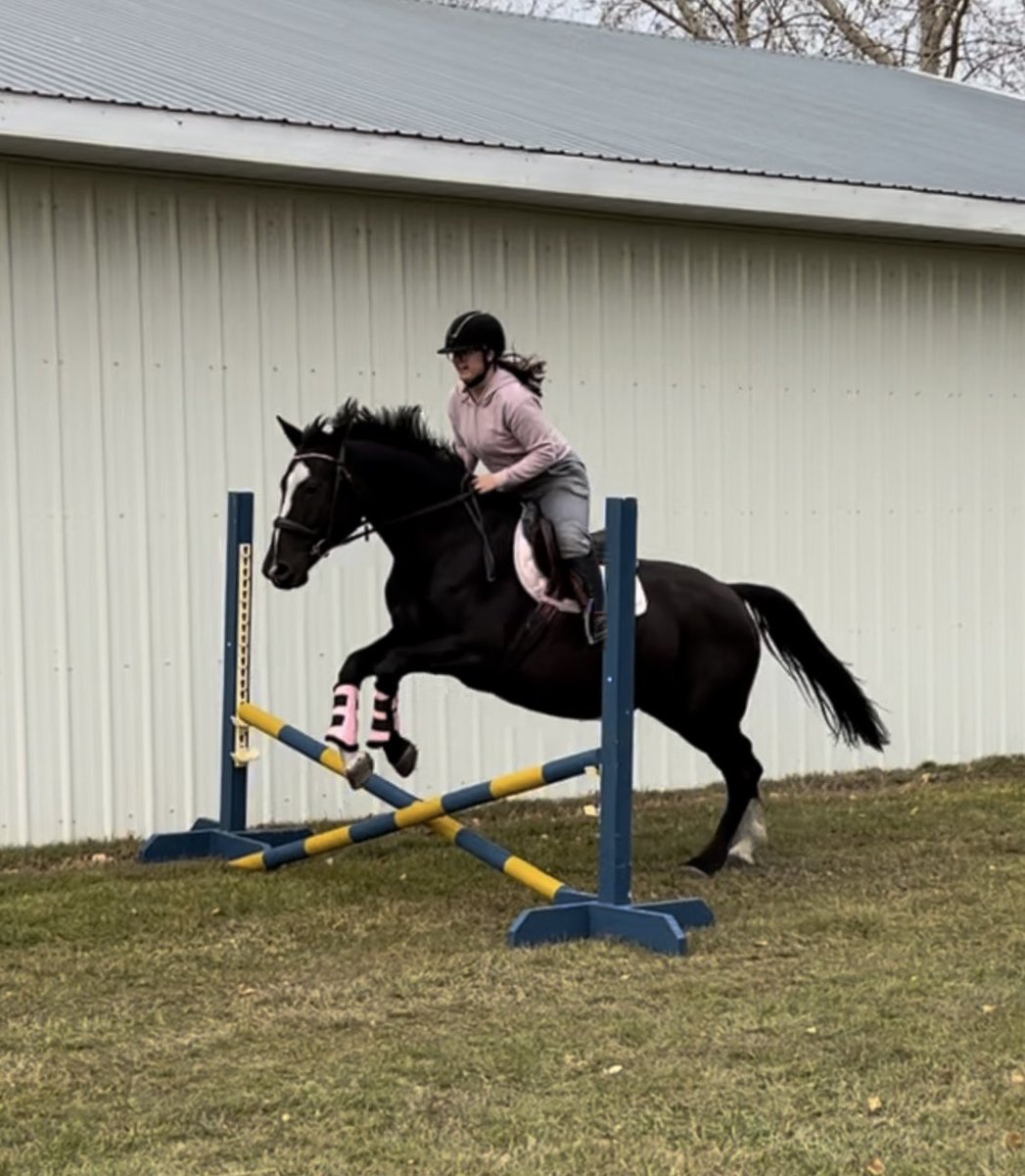 calliskagen's tweet photo. Might have to do some hunter classes next year 😍 https://t.co/b2cFHqUnLx