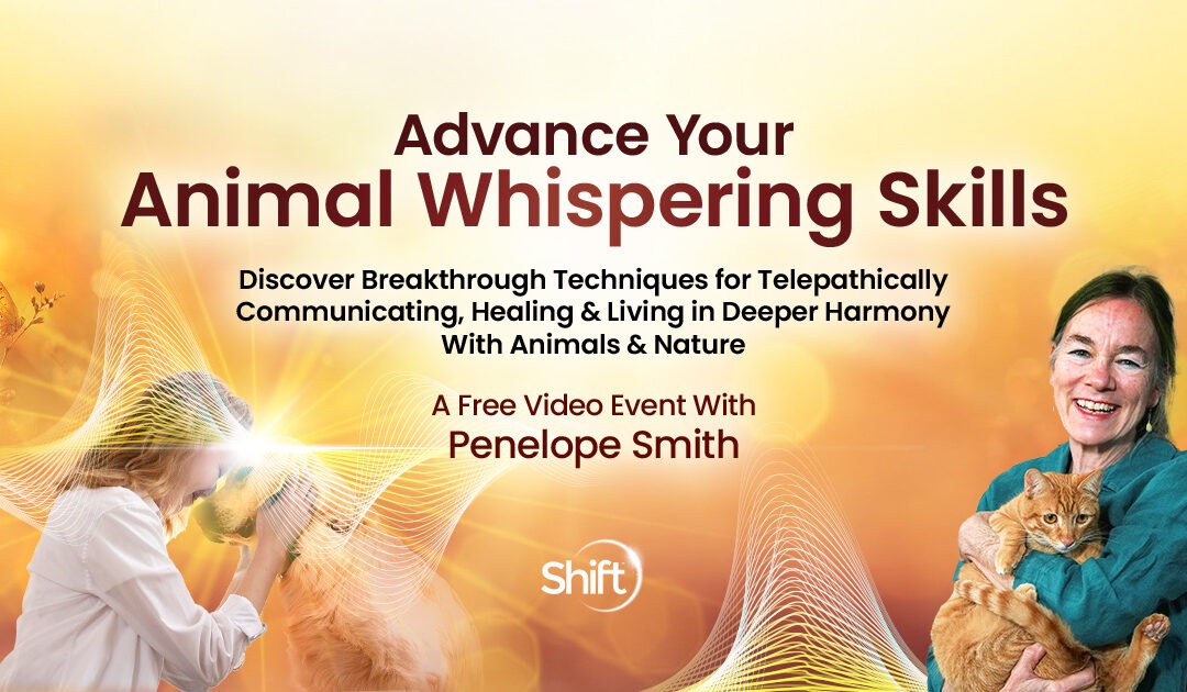 What if you could sense the needs of your animal friends — discovering the reasons behind their confusing or challenging behaviors, and offering them comfort when they’re feeling distressed? 🙂❤️

shiftnetwork.infusionsoft.com/go/aaw/aliciab