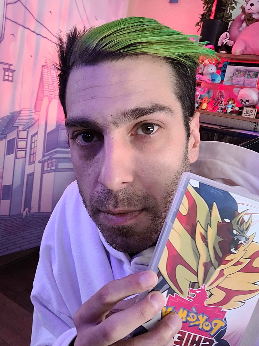 Weekend Nuzlocke!

Gym 3 done, now to become the champion 👑