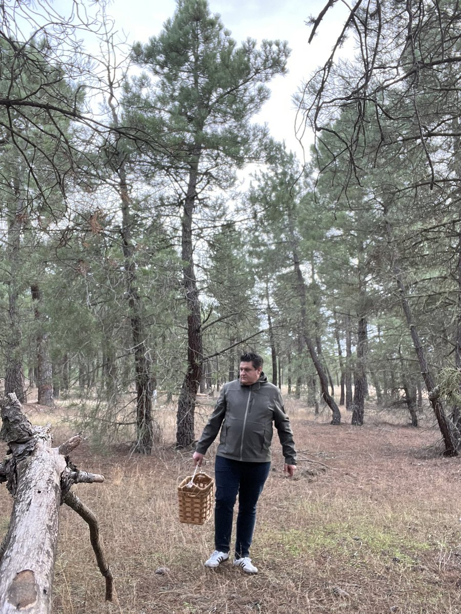 davidgu77896454's tweet photo. Las setas son como pequeños paraguas que protegen a los duendes de los bosques. https://t.co/RiYuZgIu5U