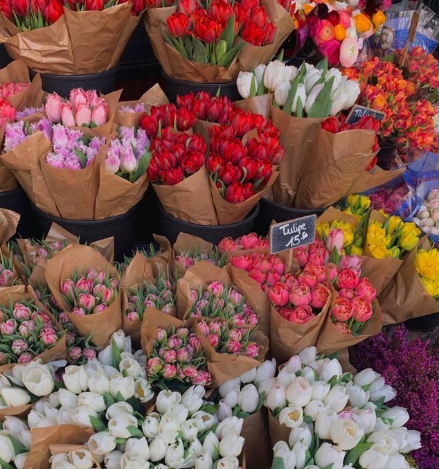 asgardseroda's tweet image. may your afterlife be as colourful and fresh like these boutique of flowers 💐🤍

#ForLiam #ThankyouLiam