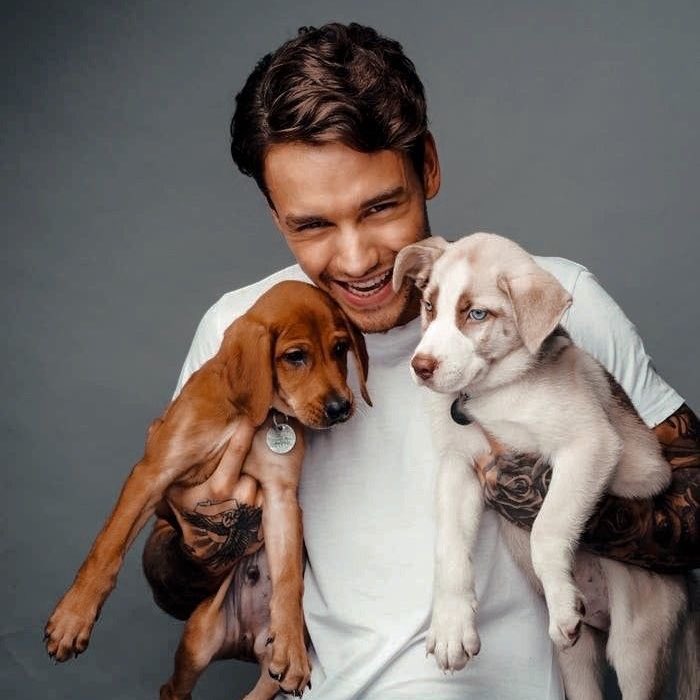 asgardseroda's tweet image. may your afterlife be as colourful and fresh like these boutique of flowers 💐🤍

#ForLiam #ThankyouLiam