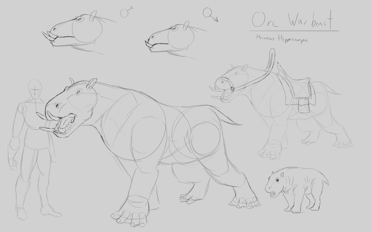 The Hidden Elephant tweet media