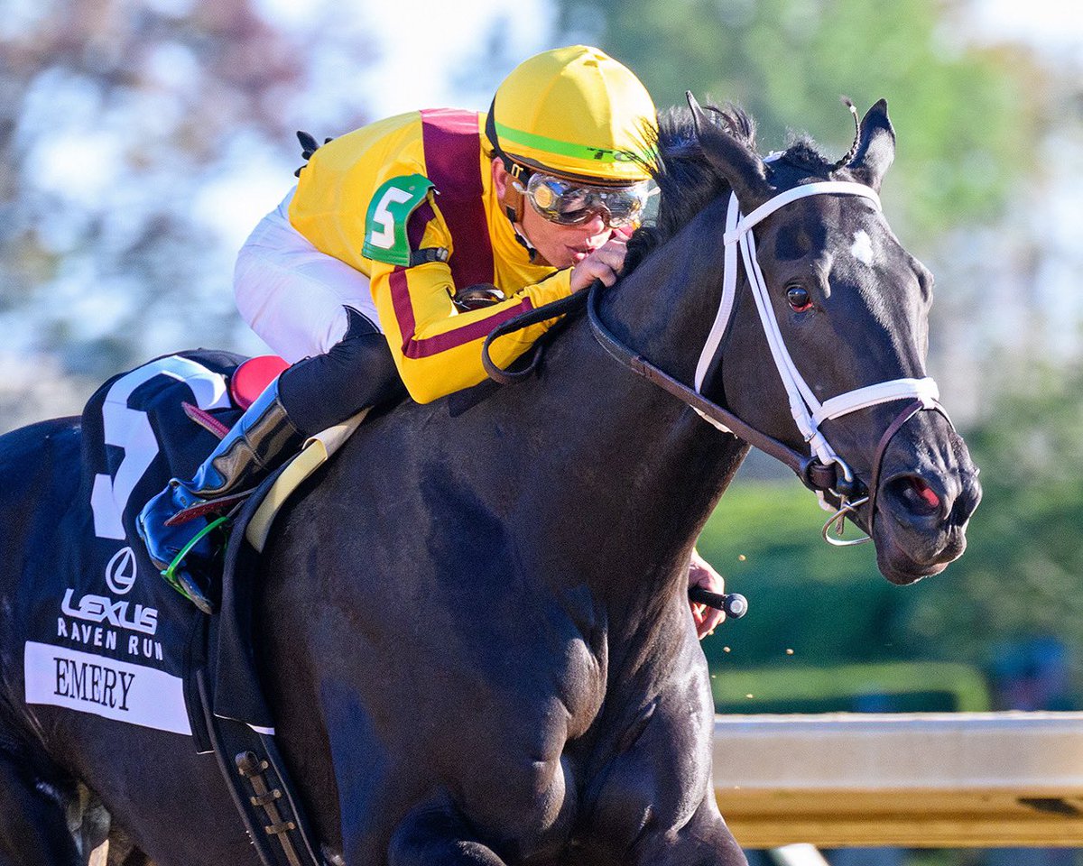 BH_AEberhardt's tweet photo. Emery with @TGjockey impressively wins the G2 @Lexus #RavenRun @Keenelandracing for breeder Mary Grun, @barbarabanke @StonestreetFarm and @bradcoxracing 3yof by #MoreThanReady More from @BH_SCollins https://t.co/WeEkBfWWsr