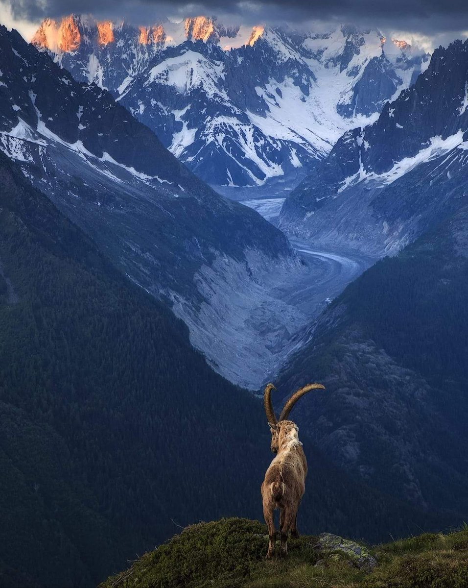 “Бодол чинь хэр хүчтэй вэ гэдгийг ойлгодог болчихвол,
Бид ХЭЗЭЭ Ч хэний ч, юуны ч талаар сөрөг бодол тээж явахгүй л байсан байх даа.”
📝🎼

ӨГЛӨӨНИЙ МЭНД ...