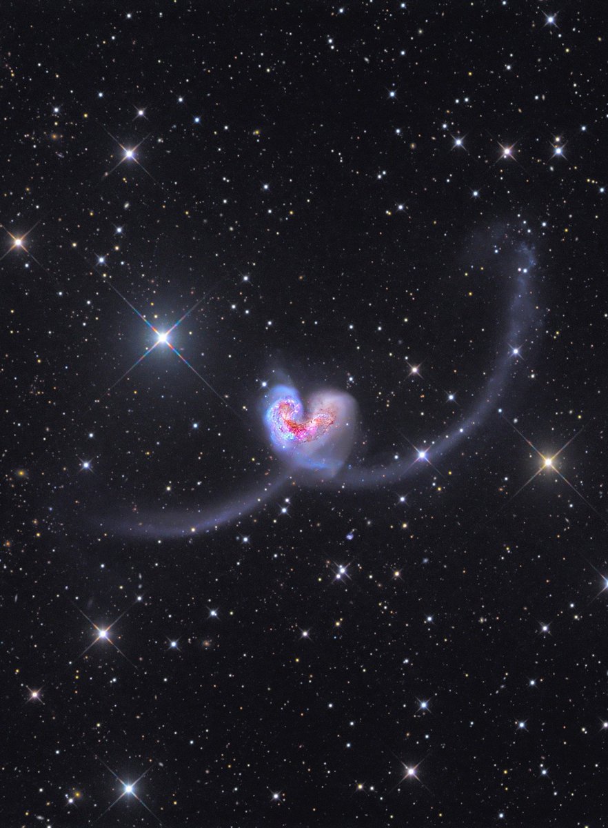 MAstronomers's tweet image. 60 million light-years from Earth, two galaxies NGC 4038 and NGC 4039 collided 💙