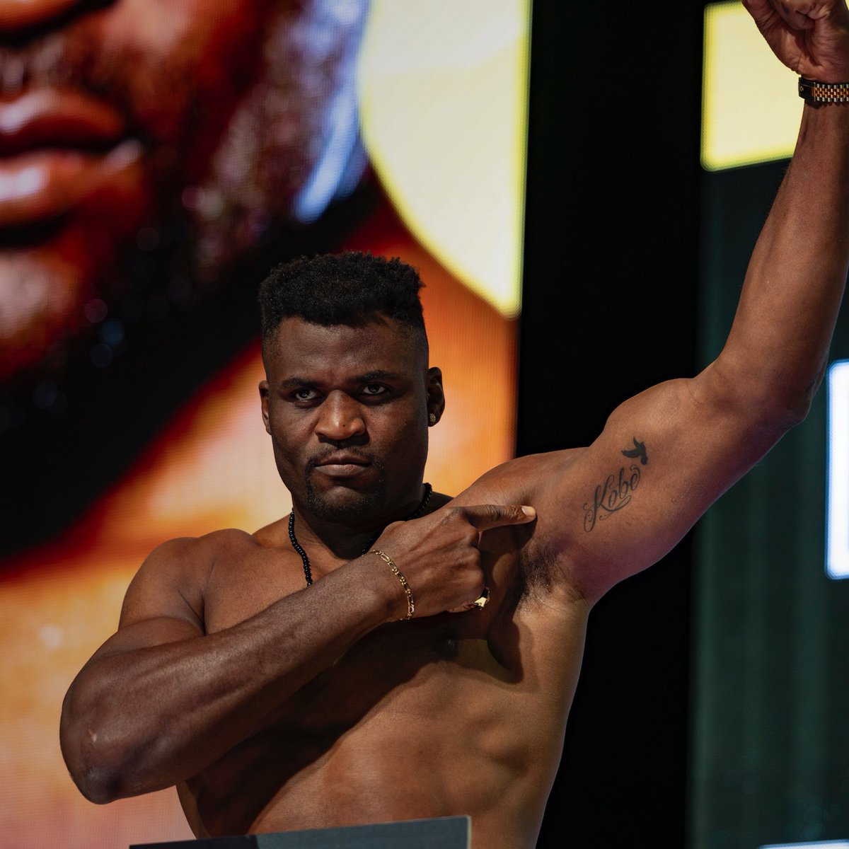 🗣️ « Je suis content d’avoir fait ça pour mon fils. J’espère que tout le monde se rappellera de son nom »

Ngannou dédie sa victoire à son fils décédé.