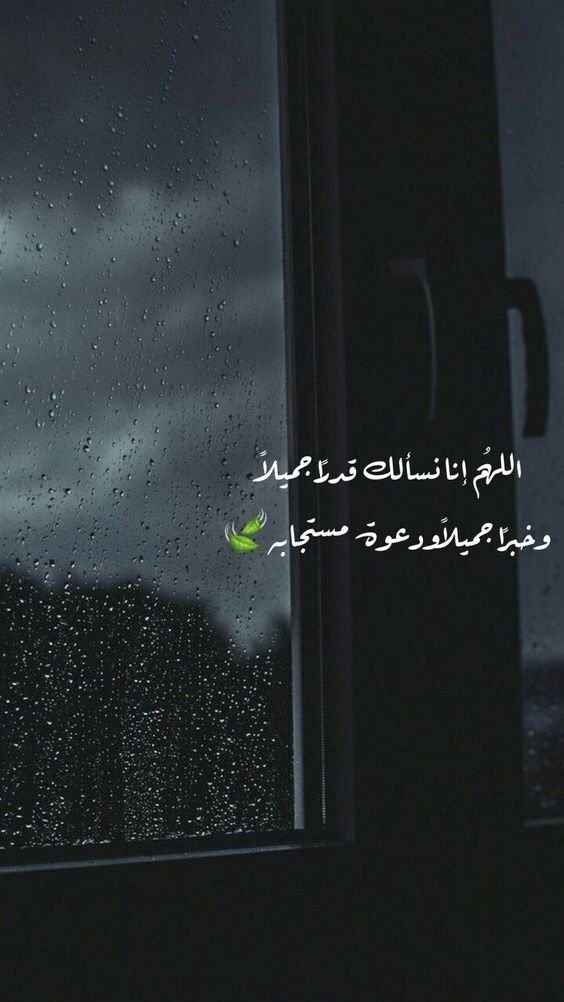 Ali_AlSayed22's tweet photo. https://t.co/10kdt3aPI1