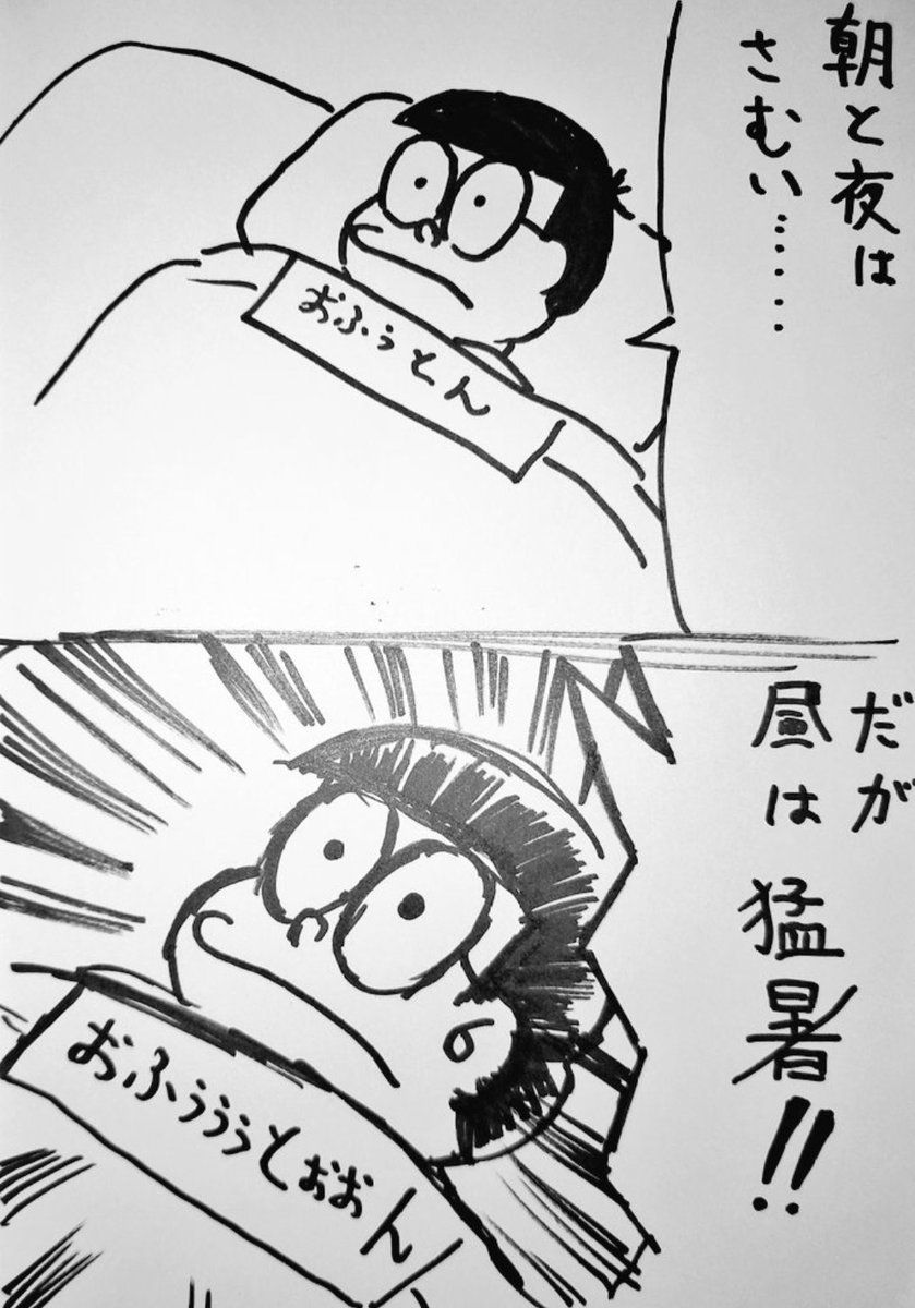 今日は暑くないだろう…たぶん('ー`)☀ 