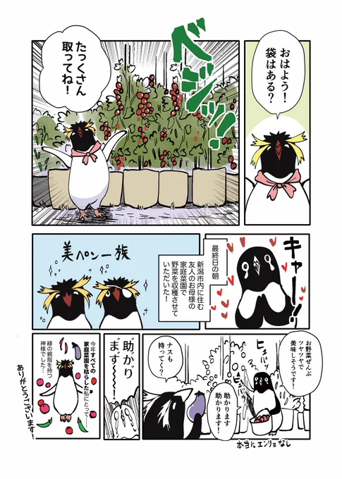 日記マンガ
佐渡旅行編34
すてきなママペンのわくわくの畑!
🍅🍆🫑🌶️🧄 