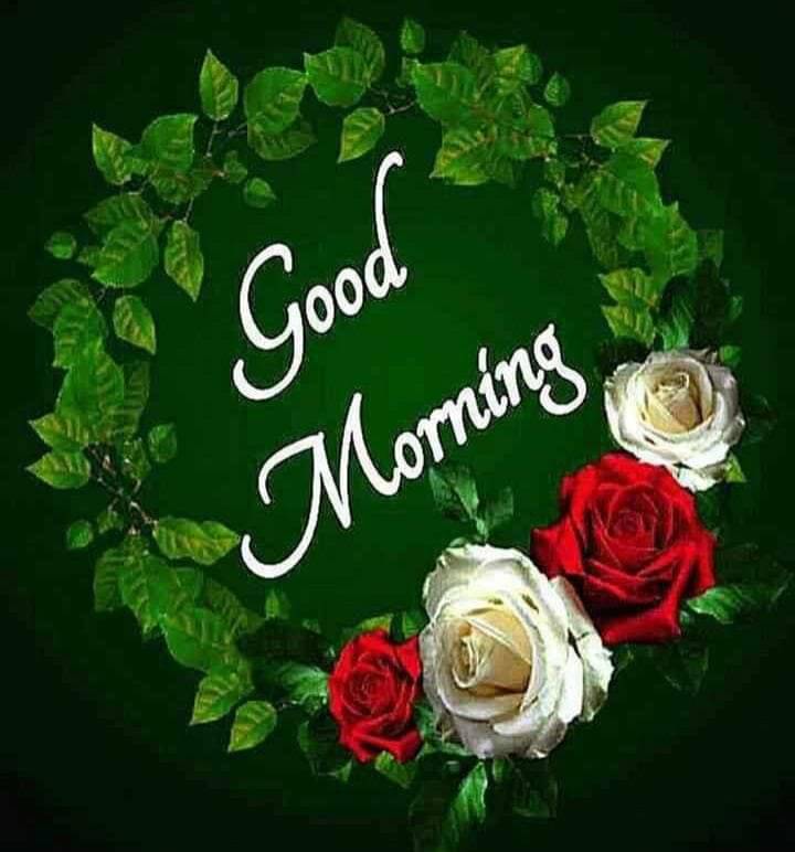 Good morming ❤️🙏❤️