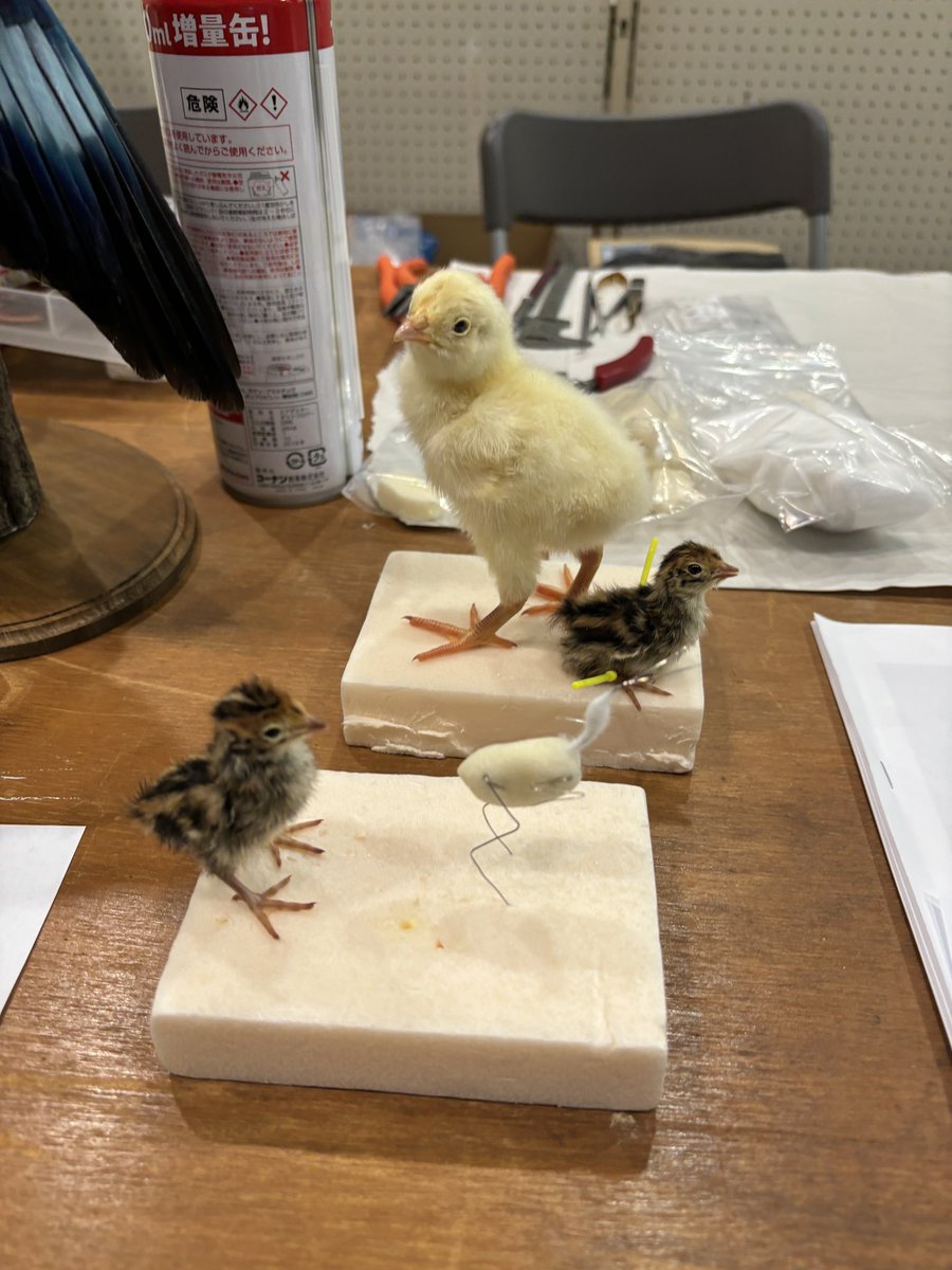 tori (@tori8087) / Posts / X