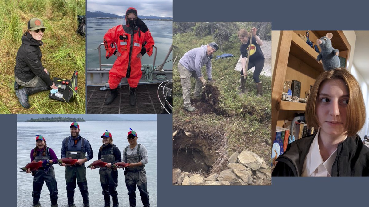 Curry Cunningham tweet media