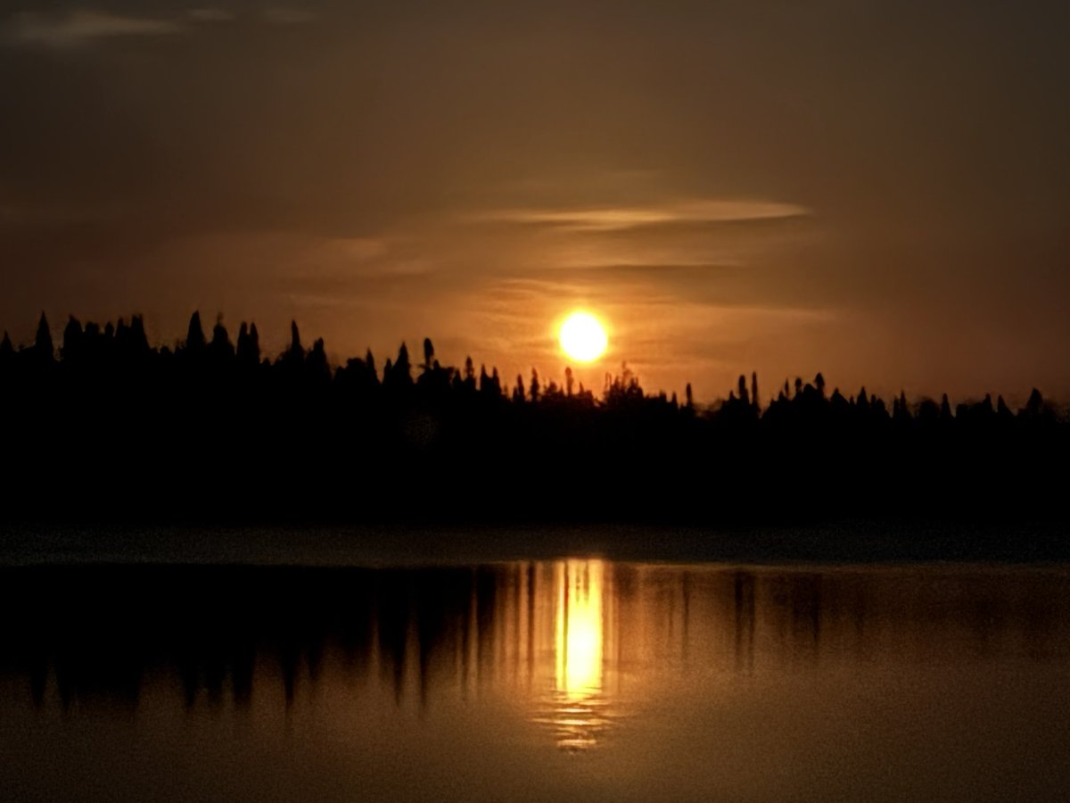 Jess (she/her) tweet media