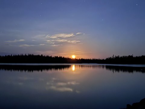 Jess (she/her) tweet media