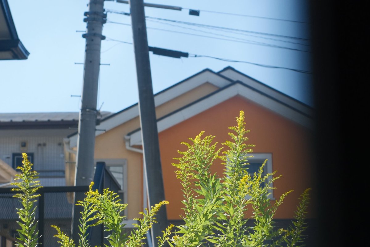solairo_24's tweet photo. 日々の暮らしをフジフィルムの色で記録する
#fujifilm_xseries https://t.co/B2grDpoOhy