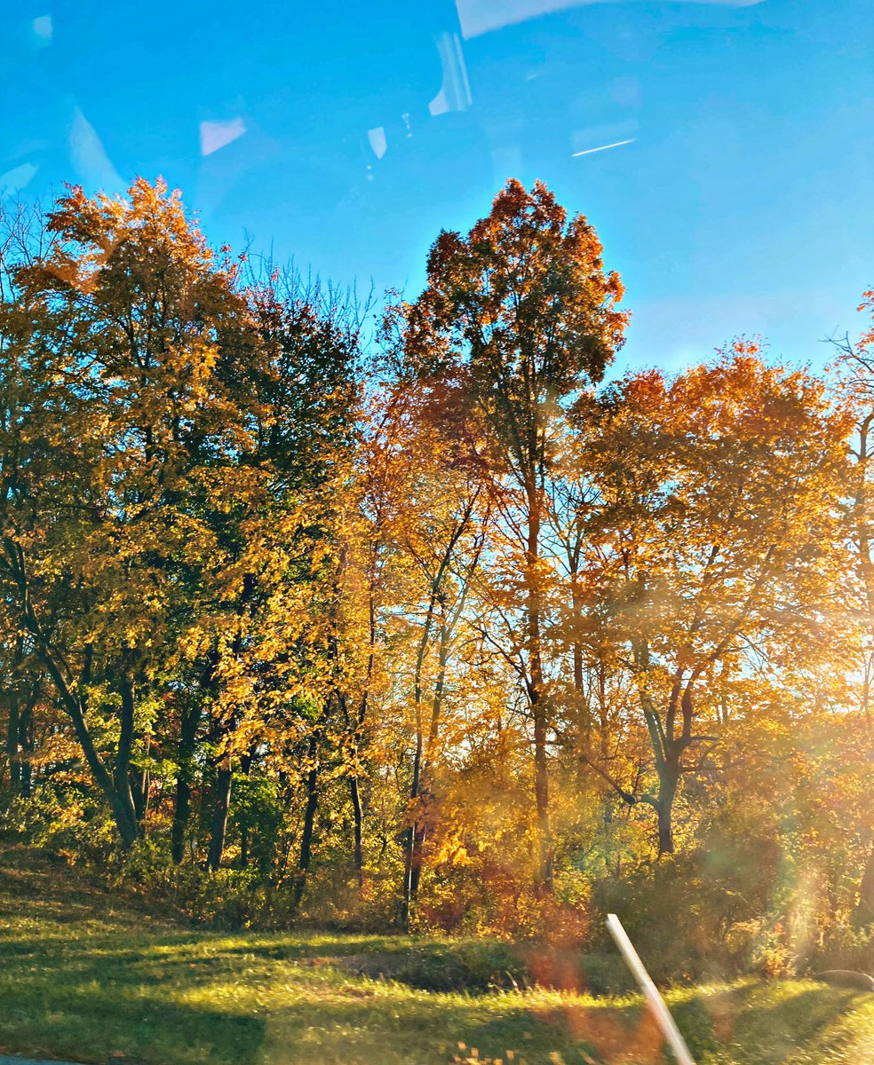 LaurenArt777's tweet photo. #grunge #graffiti #graphicdesign #graphicart #streetart #streetartstyle #abstractart #surrealism #popart #art #artoninstagram #artintheheart #loveart #creating #makestuff #noaineeded #photography #fall #fallphotography #leaves๐ #leaveschanging #october #sun #sunset https://t.co/XhLRFUkeM5