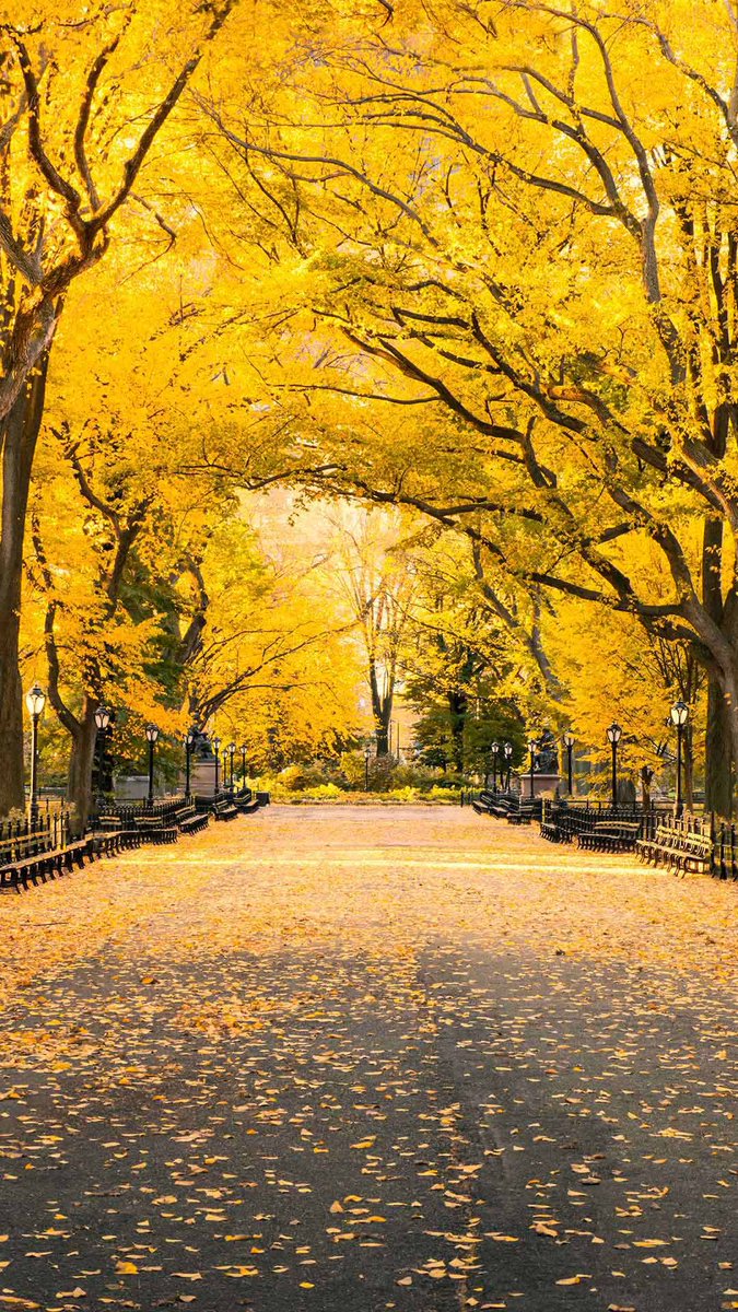 Burada kimle yürümek isterdin ?