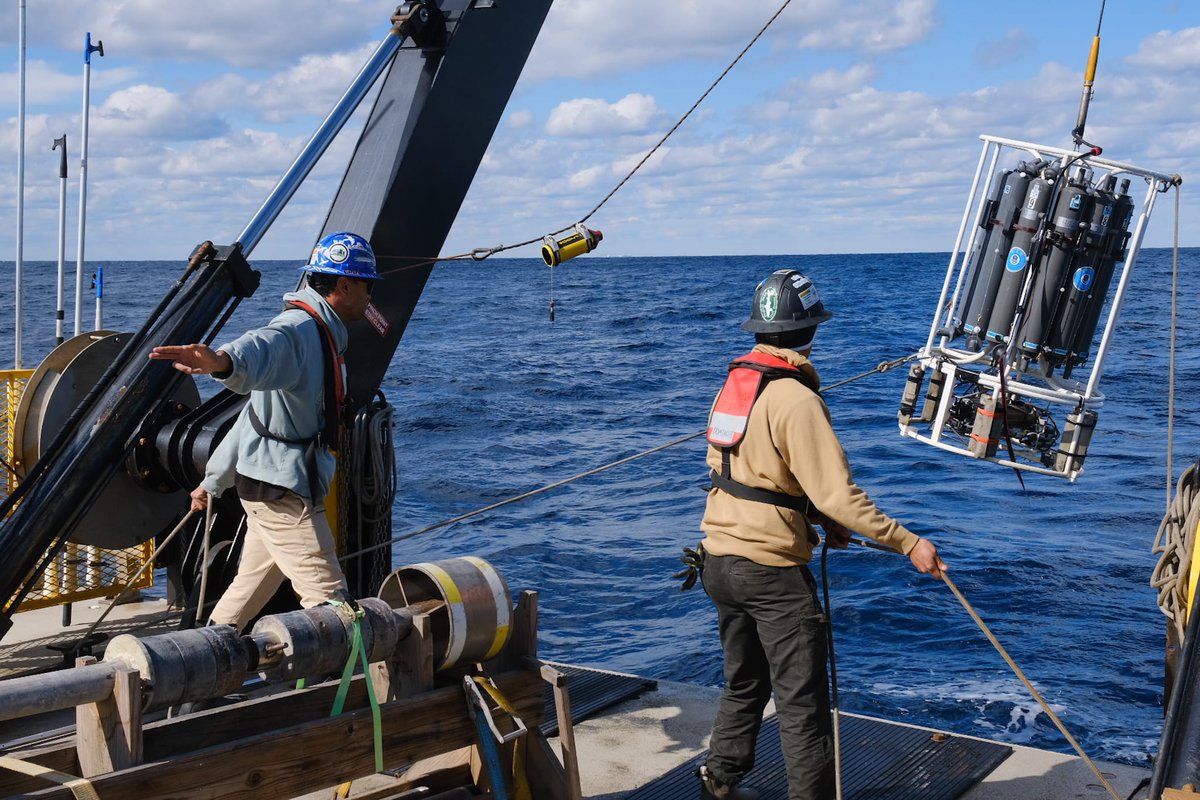 #STEMSEAS tweet media