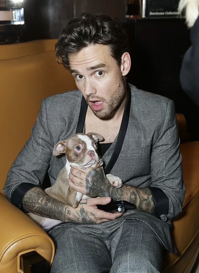 PiquardVenecia's tweet photo. Liam Payne body  Liam’s Payne Body  Liam Payne Cuerpo  Cuerpo de Liam Payne https://t.co/CGY2ANdX6C