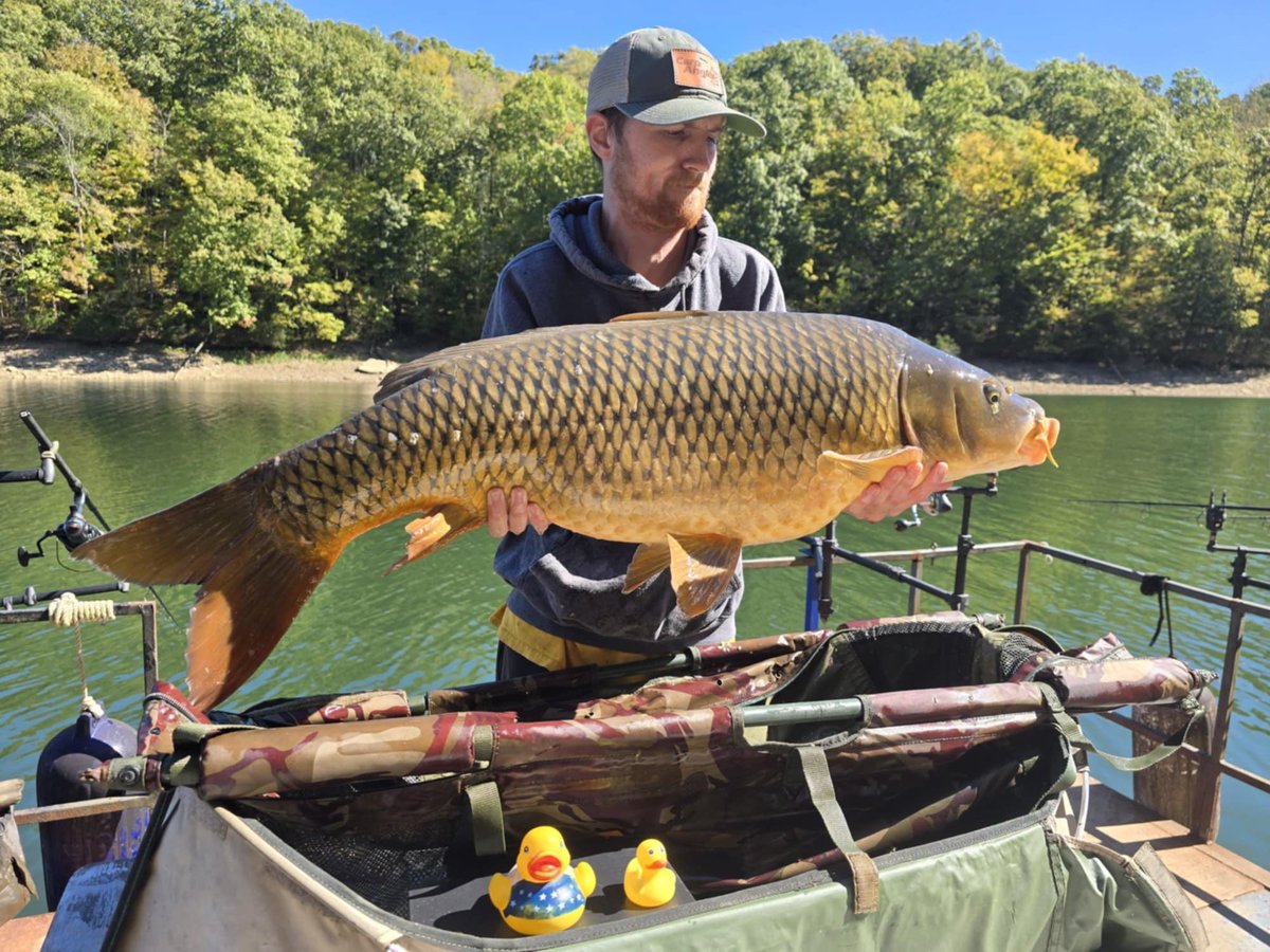 Daniel🍀 tweet media