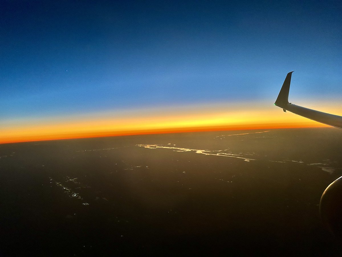 Meyer Lab tweet media